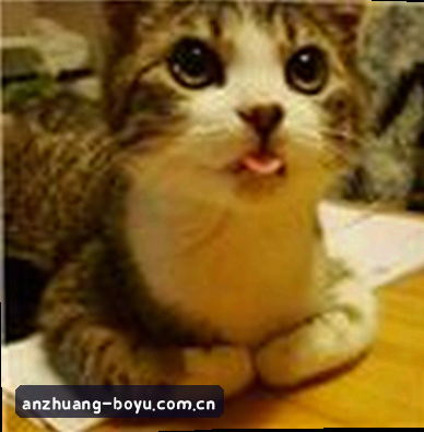 王磊